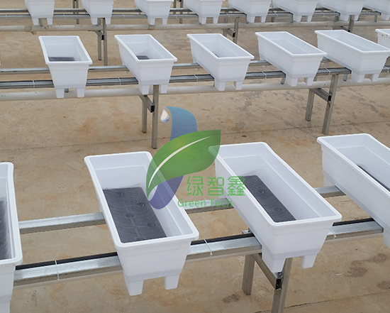 無土栽培大棚如何搭建才能順應現(xiàn)代農業(yè)的發(fā)展